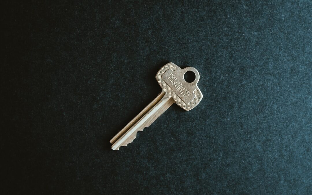 Own rentals as a limited company